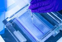 Biotechs dive deeper into targeted cancer research, despite costs